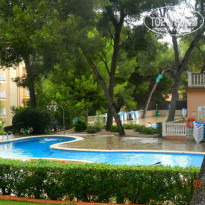 фото из отзыва ID 863947