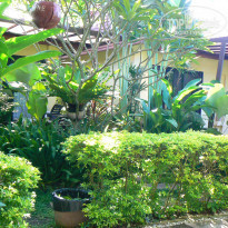 фото из отзыва ID 863534