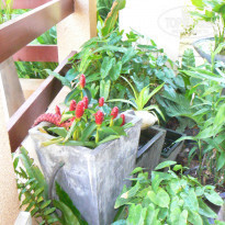 фото из отзыва ID 863534