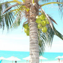 фото из отзыва ID 863534