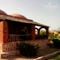 фото из отзыва ID 863818