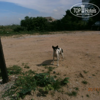 фото из отзыва ID 864120