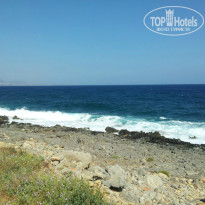 фото из отзыва ID 864183