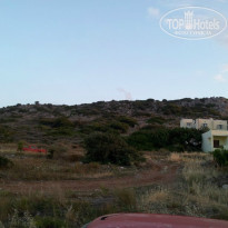 фото из отзыва ID 864183