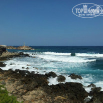 фото из отзыва ID 864183