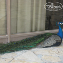 фото из отзыва ID 864258