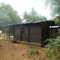 фото из отзыва ID 864304