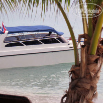 фото из отзыва ID 864409