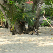 фото из отзыва ID 864409