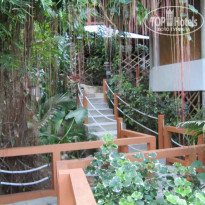 фото из отзыва ID 864409