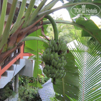 фото из отзыва ID 864409