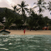 фото из отзыва ID 864409