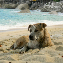 фото из отзыва ID 864409