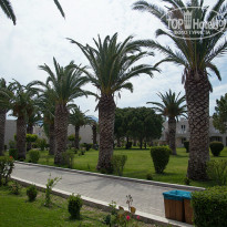 фото из отзыва ID 864432