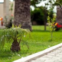 фото из отзыва ID 864432