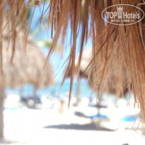 фото из отзыва ID 864576