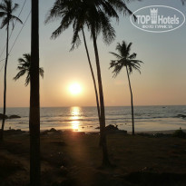 фото из отзыва ID 864668