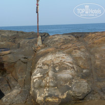 фото из отзыва ID 864668