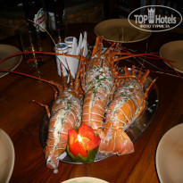 фото из отзыва ID 864668