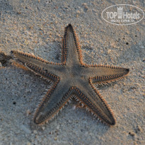 фото из отзыва ID 864768