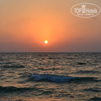 фото из отзыва ID 864768