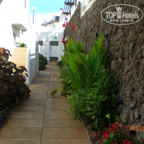 фото из отзыва ID 864473