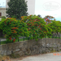 фото из отзыва ID 864473