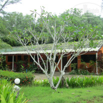 фото из отзыва ID 864870