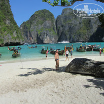 фото из отзыва ID 864870