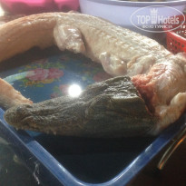 фото из отзыва ID 864992