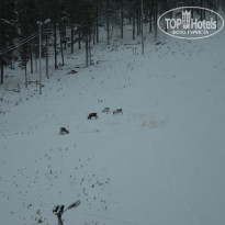 фото из отзыва ID 864999