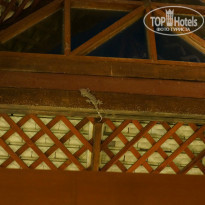 фото из отзыва ID 864834