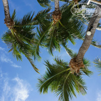 фото из отзыва ID 864834