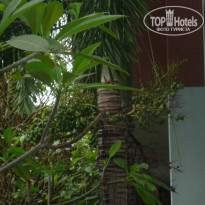 фото из отзыва ID 864602