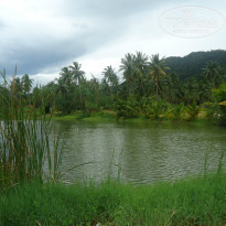 фото из отзыва ID 865007