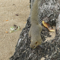 фото из отзыва ID 865203