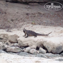 фото из отзыва ID 865207