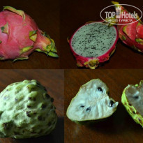 фото из отзыва ID 865240