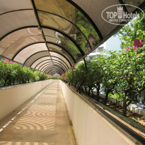 фото из отзыва ID 865302