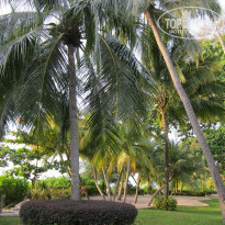 фото из отзыва ID 865366