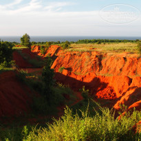 фото из отзыва ID 865516