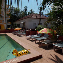 фото из отзыва ID 865582