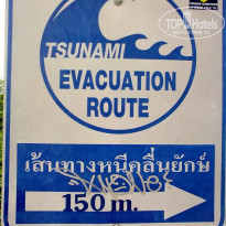 фото из отзыва ID 865832