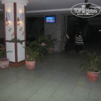 фото из отзыва ID 865939