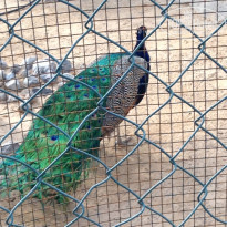 фото из отзыва ID 865840