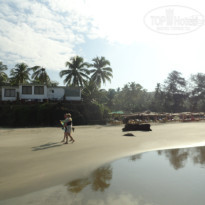 фото из отзыва ID 865371