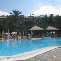 фото из отзыва ID 86583