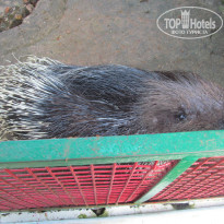 фото из отзыва ID 866024