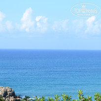 фото из отзыва ID 866364