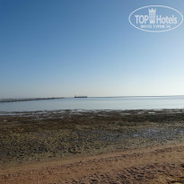 фото из отзыва ID 866520